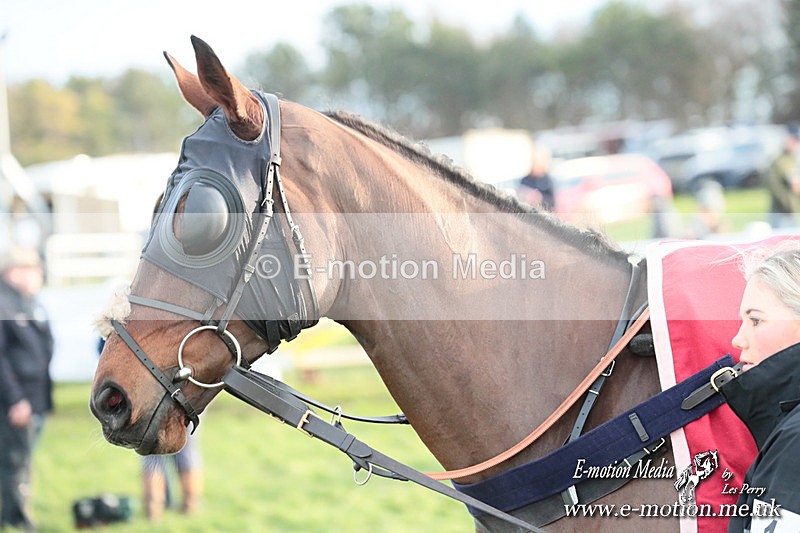 PtP 141225  2222 - New Forest Hounds PtP Larkhill 14/12/25