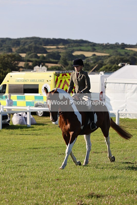 IMG_1230 - Class 27: Ridden Plaited Coloured Horse