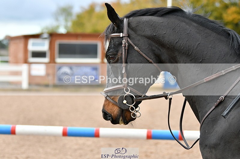 231110A-103207-00077 - Cls 2 British Novice & 90cm Open