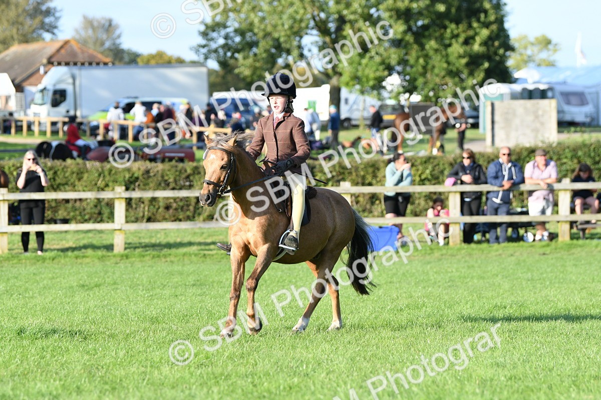 SBM_54094 - S23 - 1st Ridden Mountain & Moorland Pony