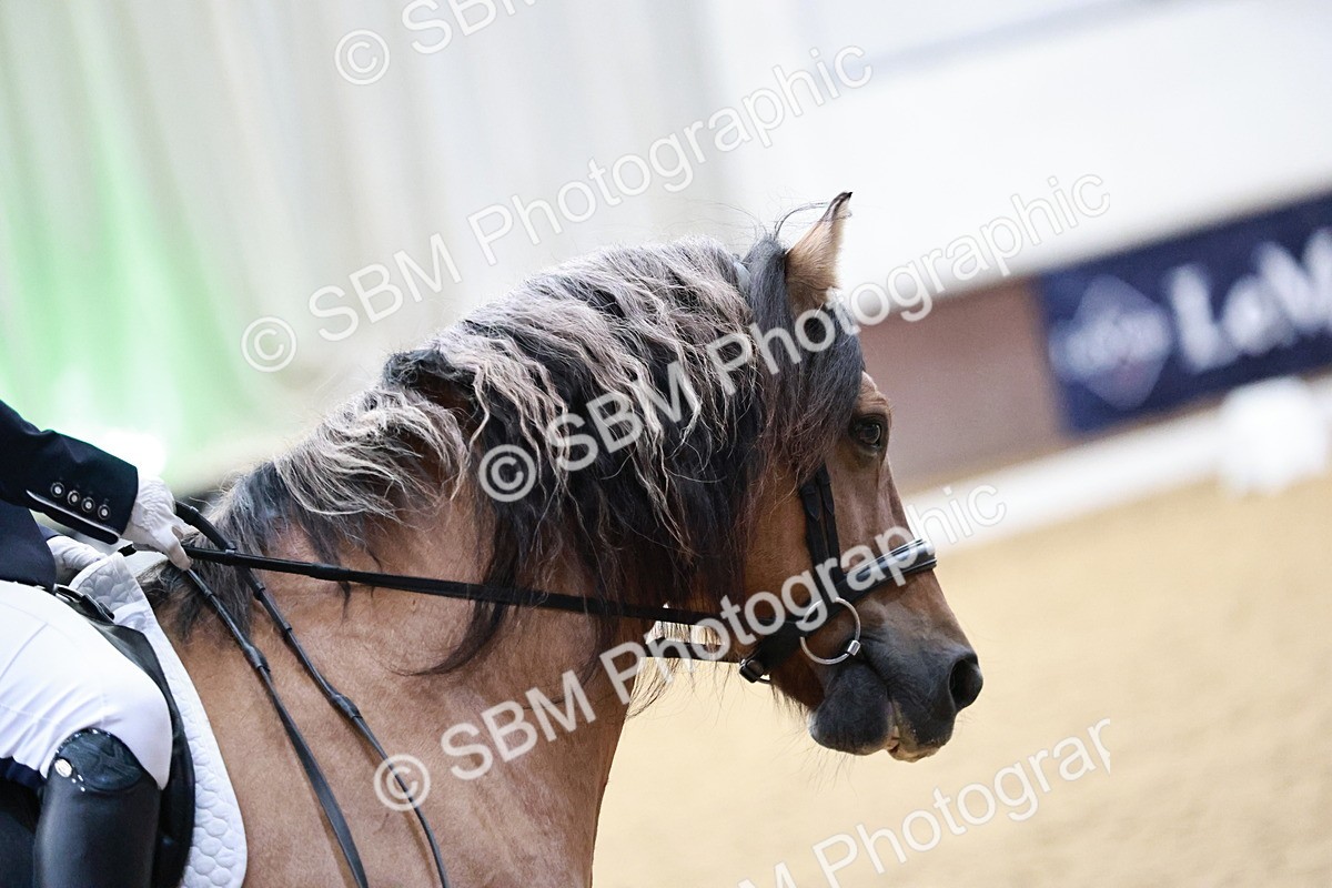 SBM_012909