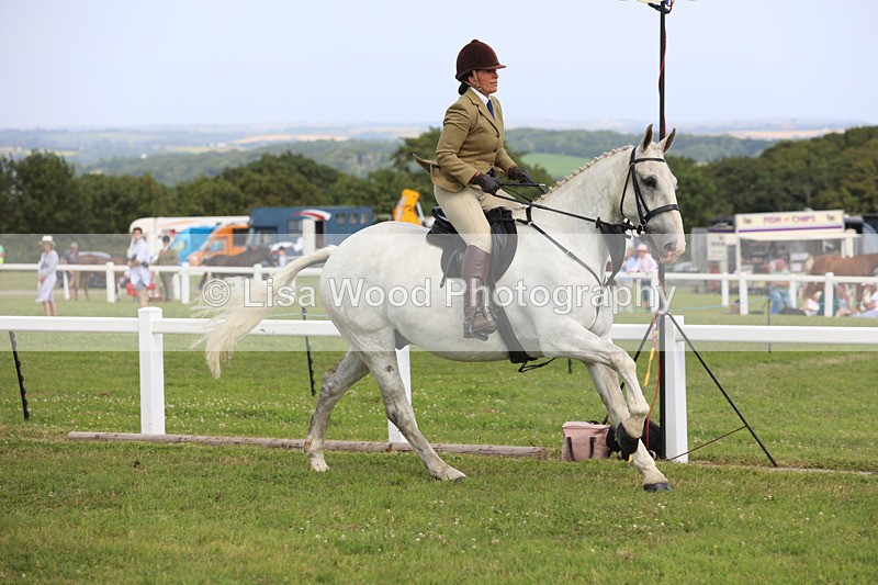JPP_3850 - Class 23: Working Hunter 80cm