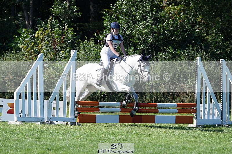 240811A-162734-06295 - 462-