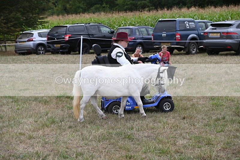 WJ6_6040 - Class 19 In-hand Veterans (Uploaded correct folder)