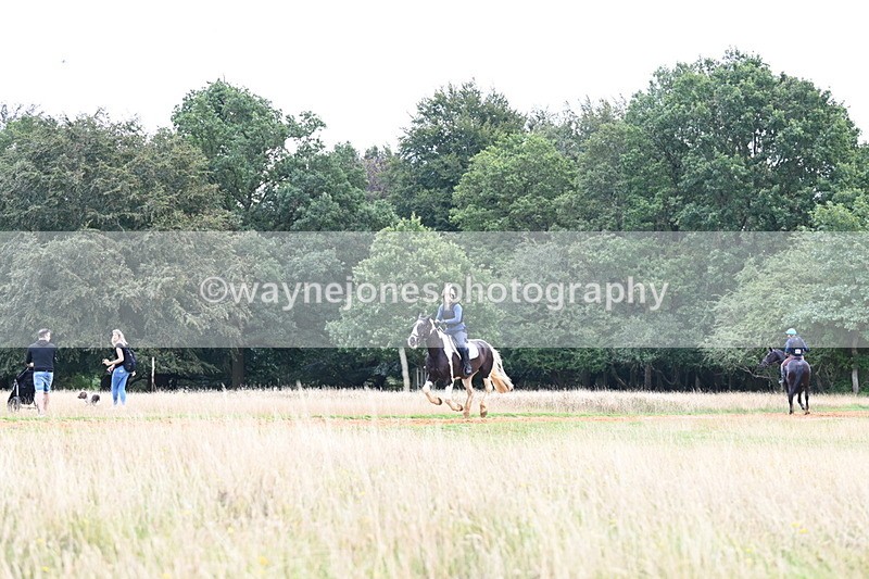 DSC_6462 - Time at Statue 12:17 to 12:44