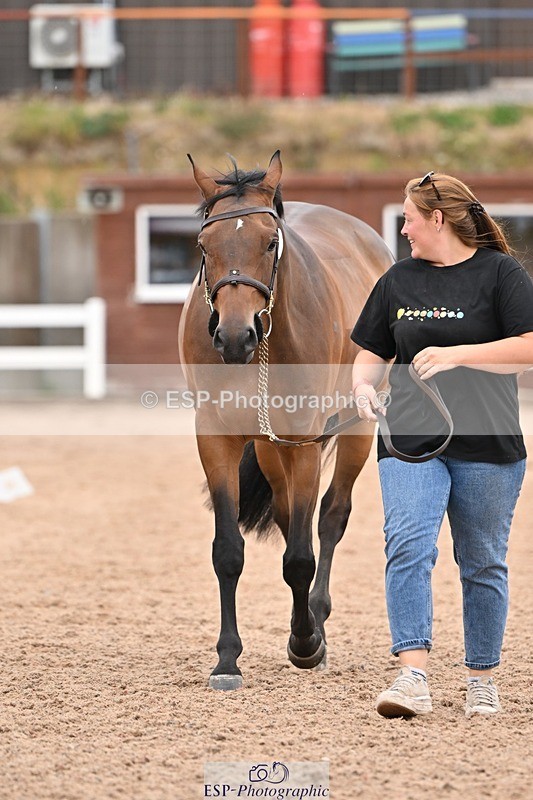 250716-160742-02429 - Trot Up 3.30 to 4.30