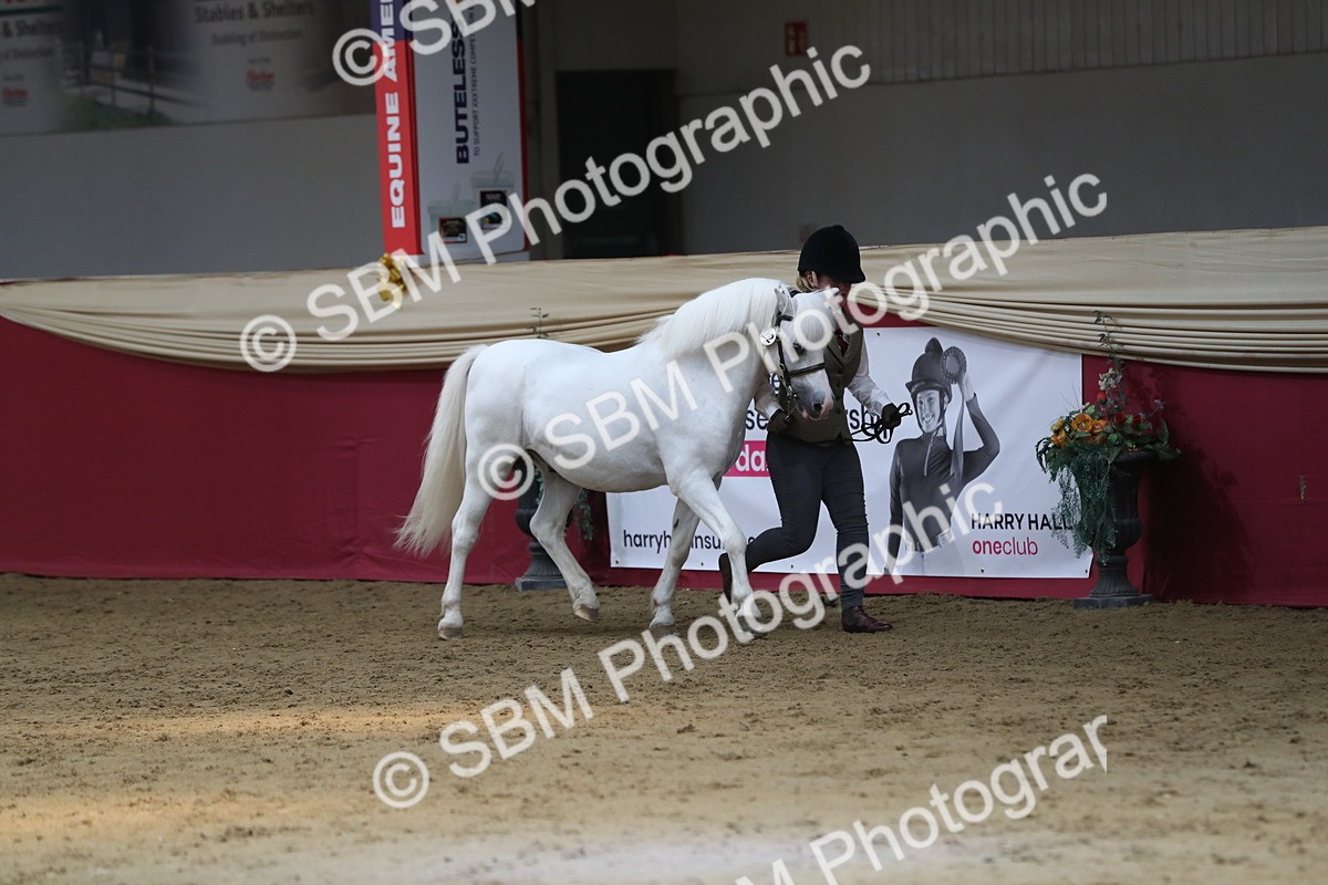 SBM_04925 - Class 8R- Regional -IH Veteran