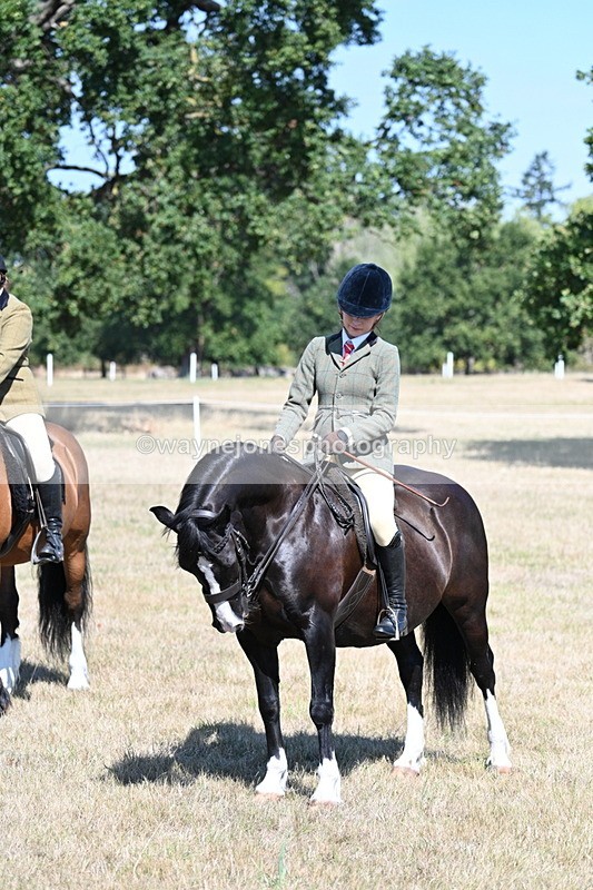 WJ7_4095 - Class 9 Mountain & Moorland Ridden