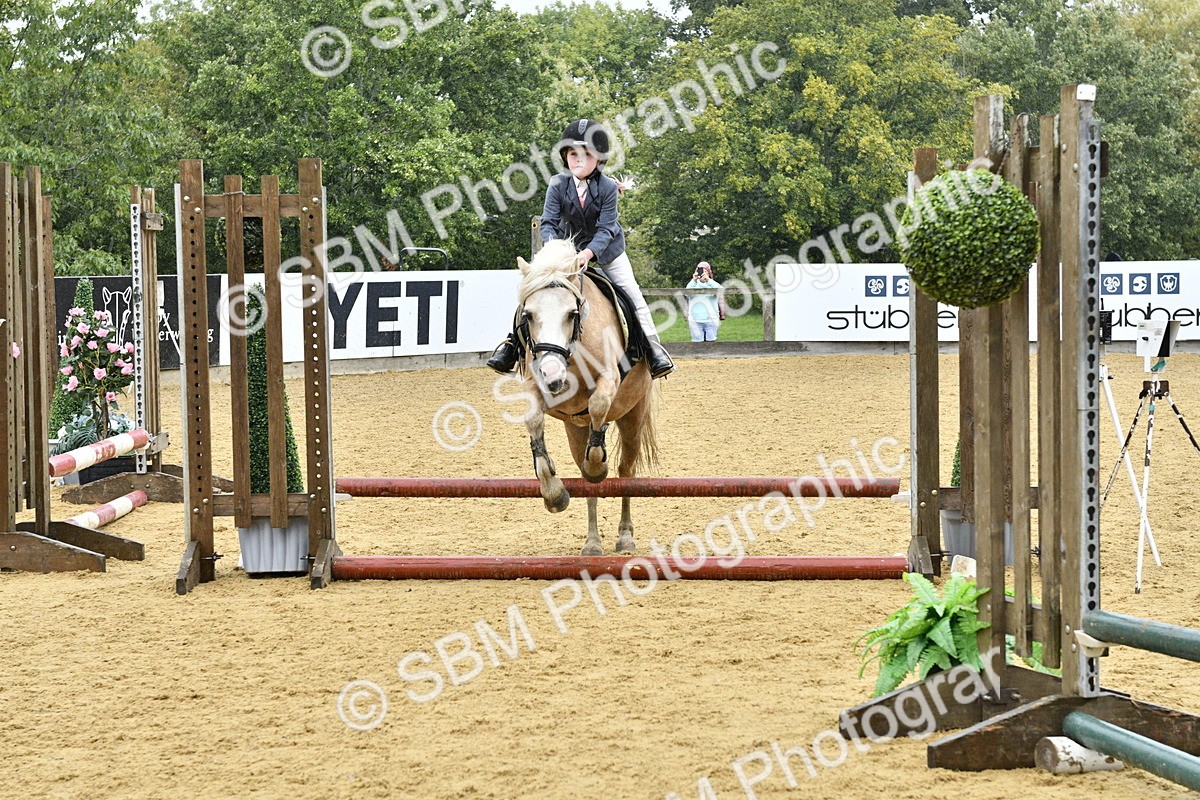 SBM_70852 - J3 - Mini Tour Junior Pony 40cm championship