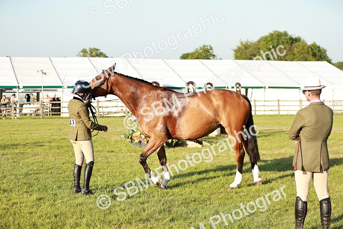 SBM_20532 - Class 117-119 - Sport Horse Working Hunter