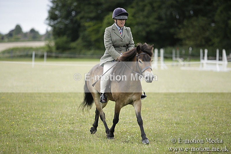 BVR160717-1301 - Ring 1 BVRC Show 16/07/17