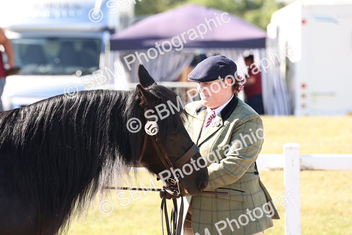 SBM_12950 - Class 206 - IH Non Show Type Pony