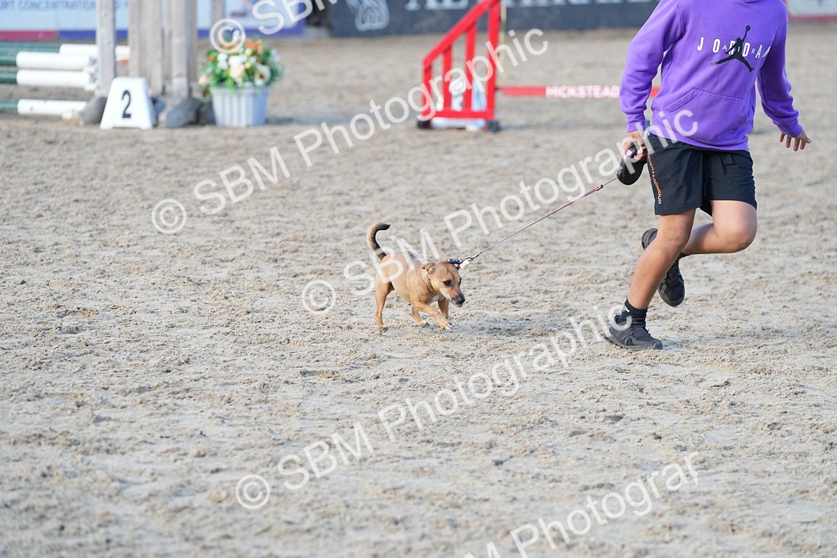 SBM_29096 - J43 - Horse & Hound Open 50cm