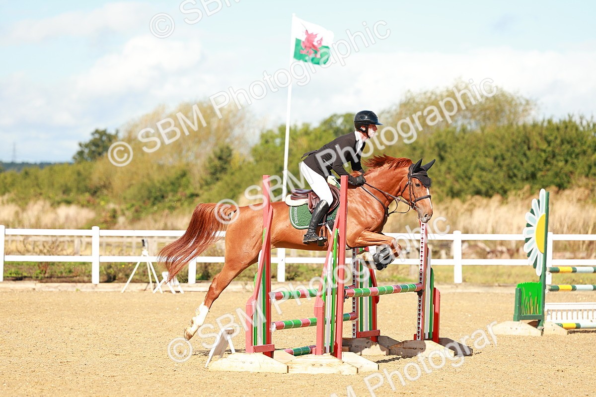 SBM_000403 - Class 2 - Senior British Novice - 90cm