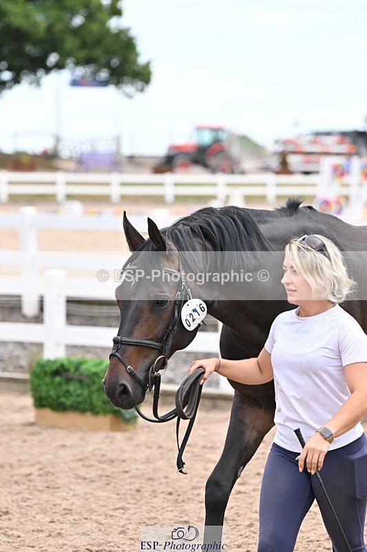 250716-135921-00845 - Trot Up 1.30 to 2.30