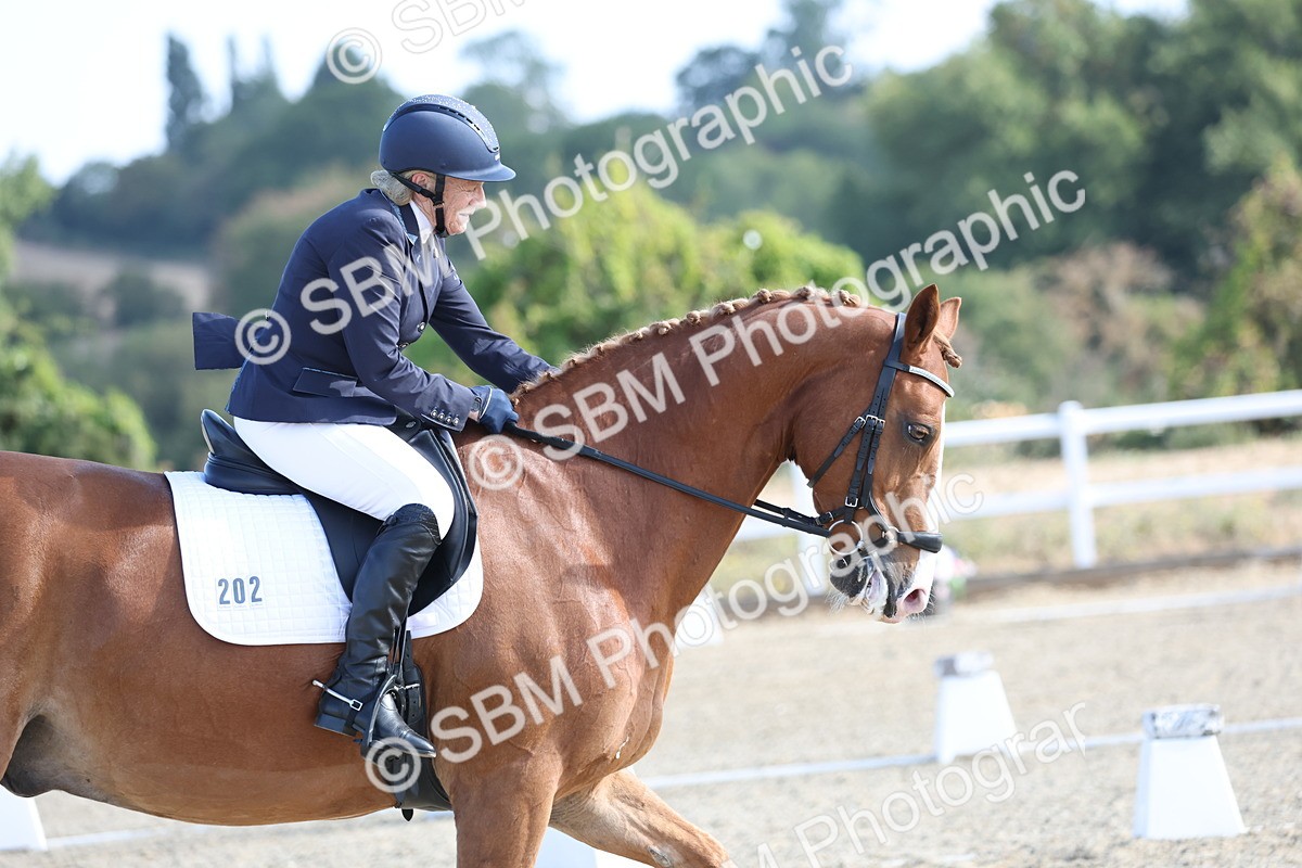 SBM_020233 - Class 21 - M5 Bronze 9.30.10.34