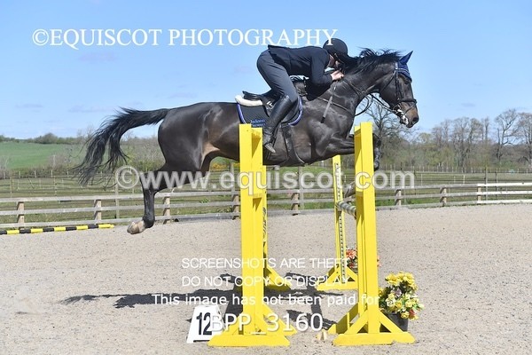 BPP_3160 - CLASS 14  Senior Newcomers/ 1.10m Open