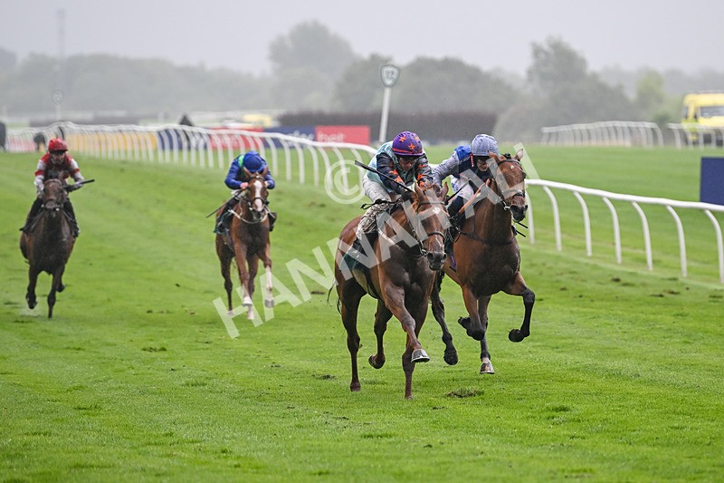 230725-Race 4-Brave Emerald-0197 - Race 4