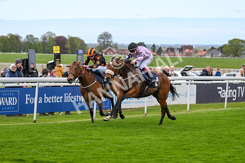 240425-Race 2-Brummell-1069 - Race 2