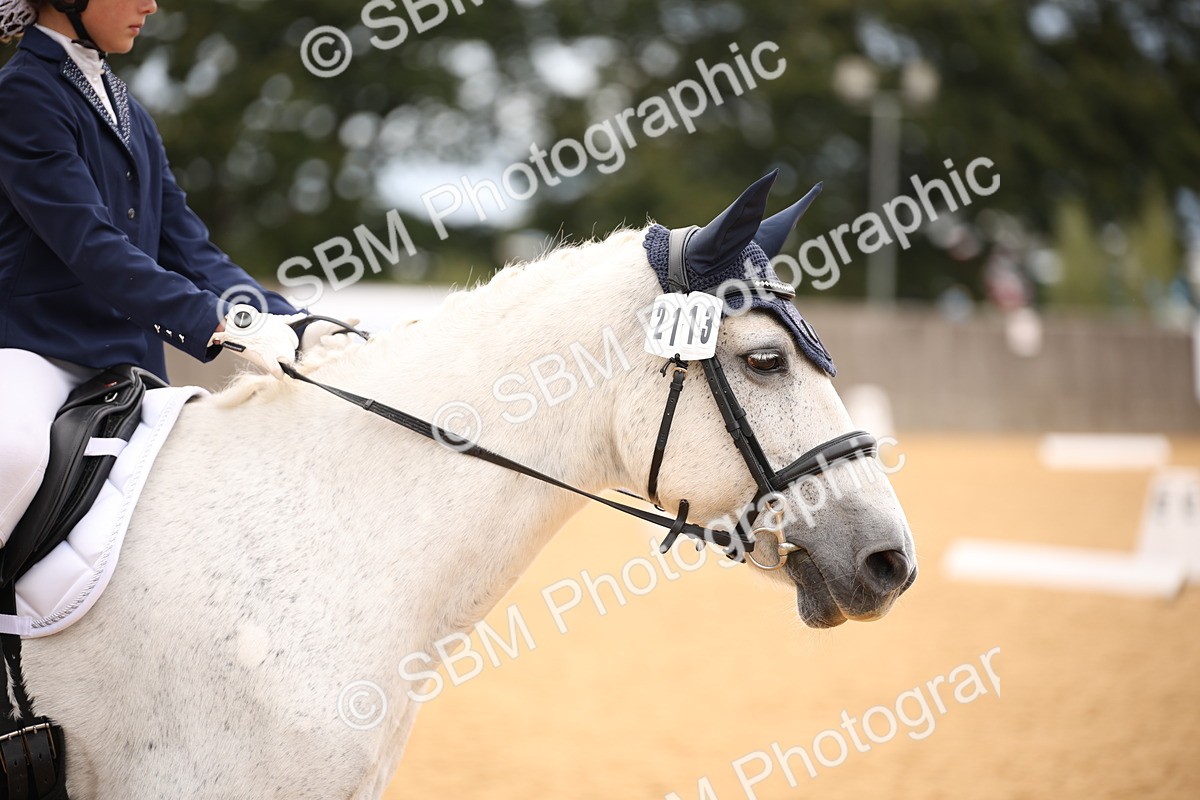 SBM_12217 - D3 Small  Tour Championship Intro A