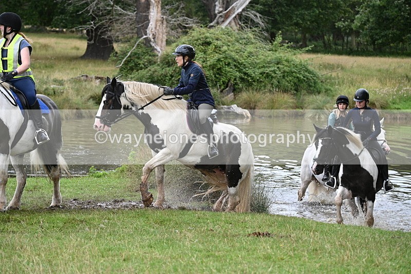 WJ7_3016 - Time at Water 11:37 to 12:13