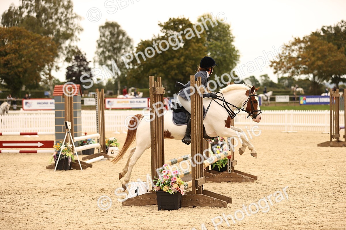 SBM_72588 - J14 - Junior Pony 65cm Championship