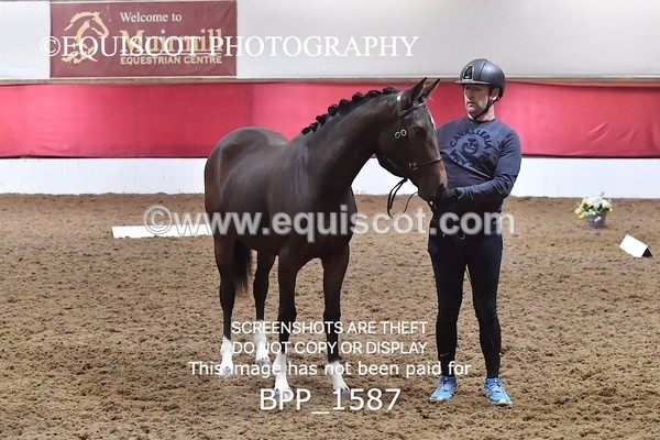 BPP_1587 - MORNING 9AM - 12PM