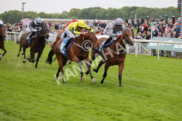 yr13052022r1-30 - Race 1 1.50pm Knights the new name for Langleys British EBF Marygate Fillies' Stakes