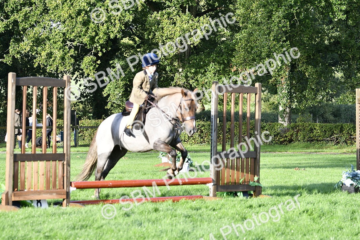 SBM_35389 - S30 - Nursery Stakes Working Hunter Pony
