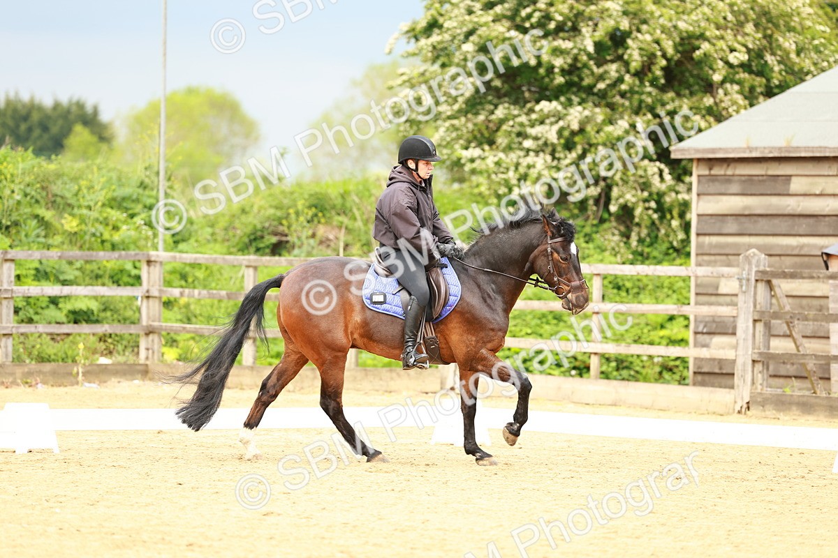 0B8A9276 - Class 5-4 - Novice 2-Prelim 3