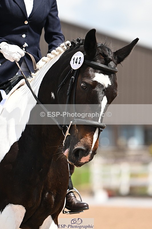 240621A-121012-02491 - Cls 5 BD Novice 37A