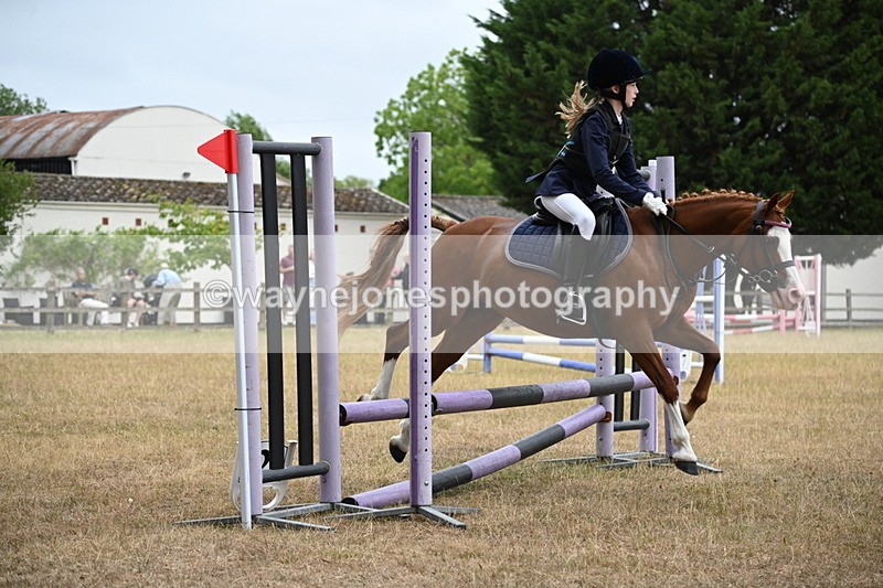 WJ6_0134 - Class 13 Novice Jumping 60cm