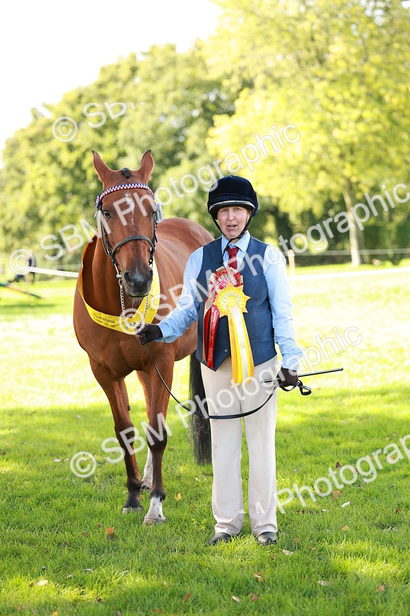 SBM_42214 - S32 - Mountain & Moorland Working Hunter Pony