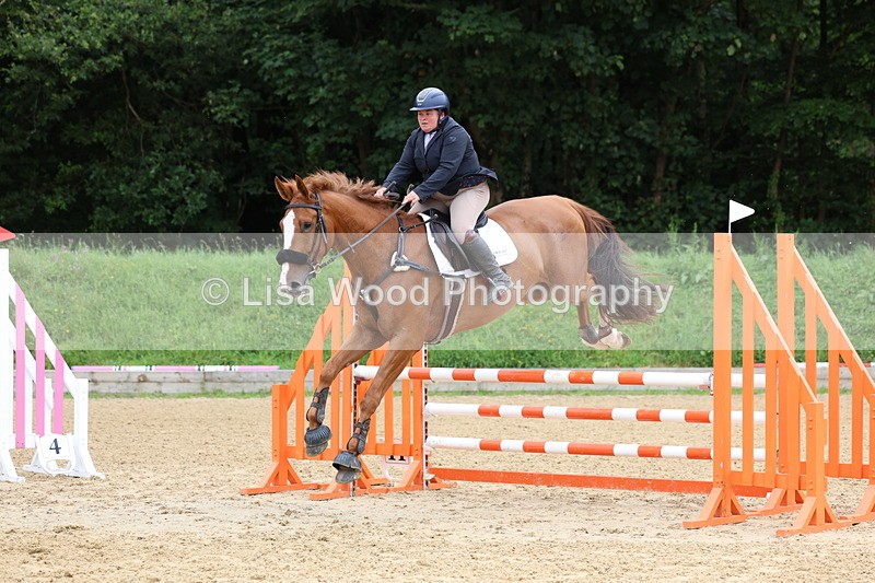 3E7A6148 - Class 4: Senior British Novice/90cm open