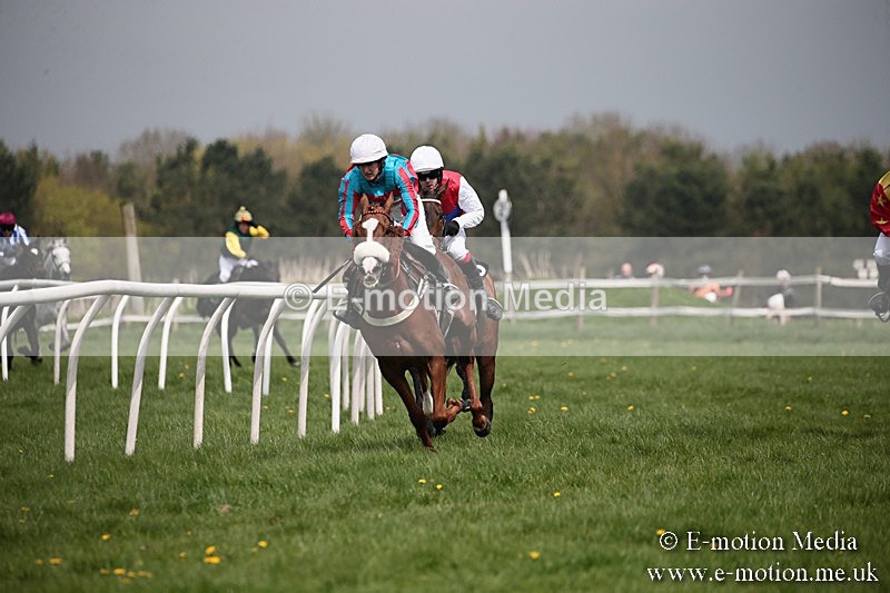 PtP 210418 8 - South & West Wilts Point-to-Point Larkhill 21/04/18