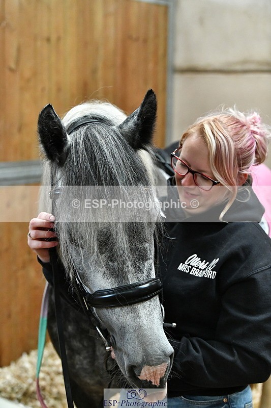 230804A-094836-02201 - Stable Shots