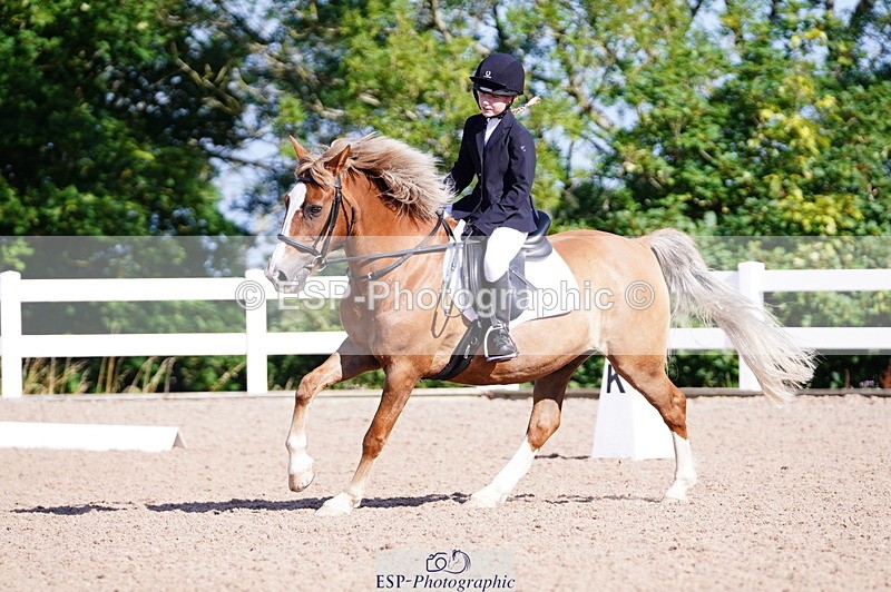 240809A-091344-00182 - Dressage Competition