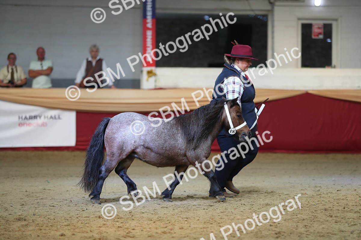 SBM_01363 - Class 3a Area IH Pre Vet