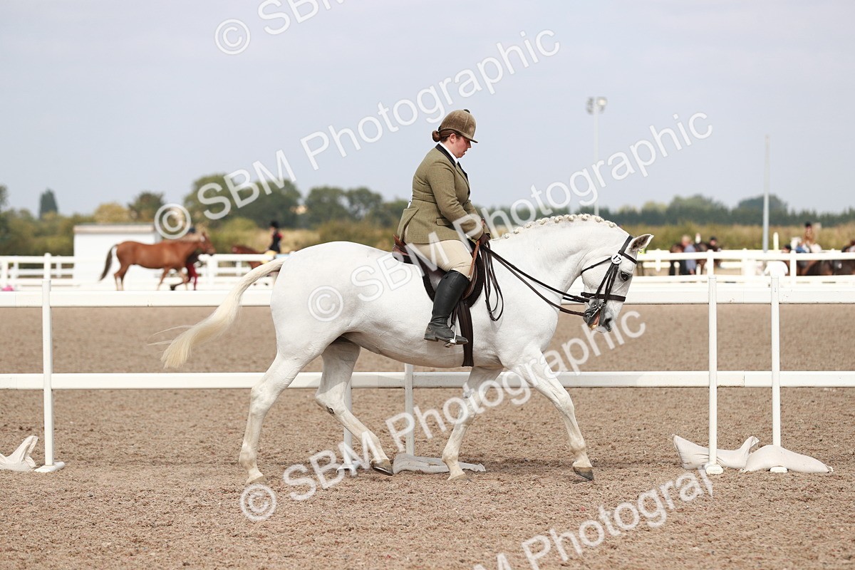 SBM_14797 - Class 212 Ridden Hunter - Small