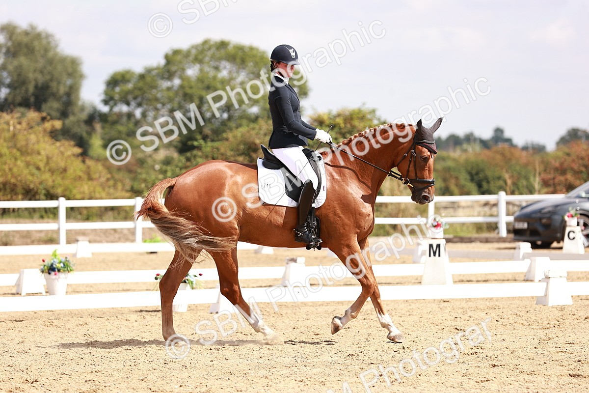 SBM_018474 - Class 17 - Novice 6