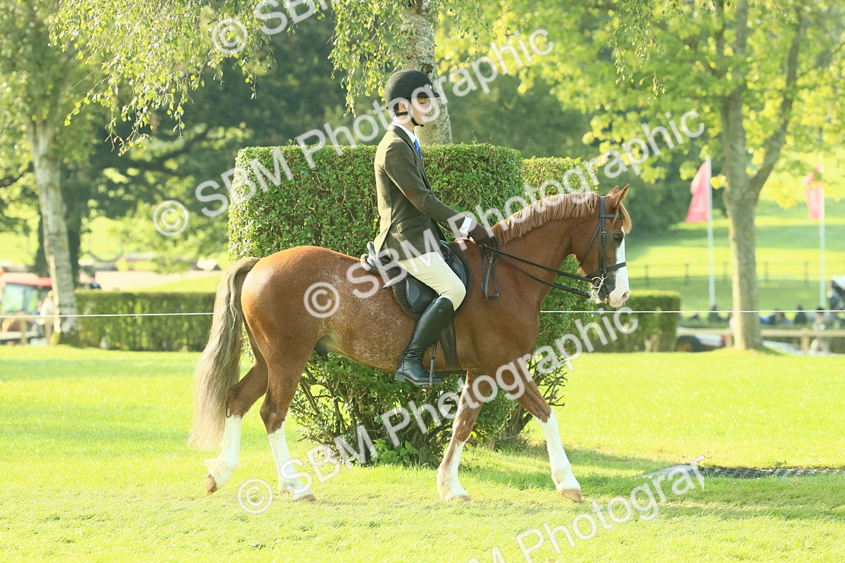 SBM_59304 - S38 - Starters Ridden Showing