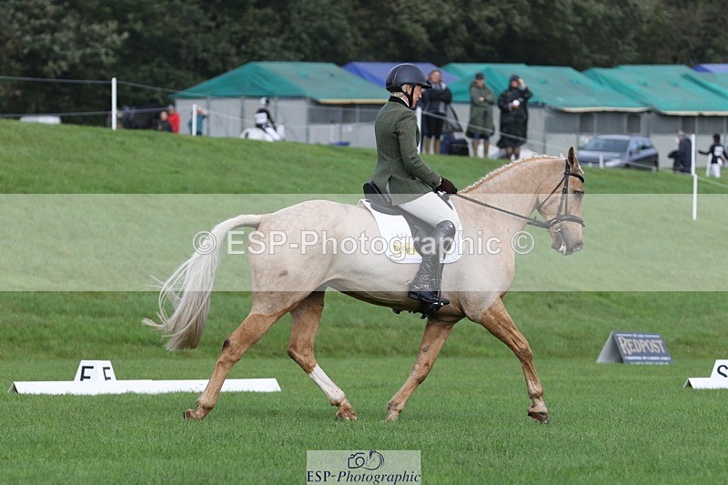 231019-110910-02566 - 612-CORRIEVIEW.MERLIN.MAGIC-Jane.Rogers-DR