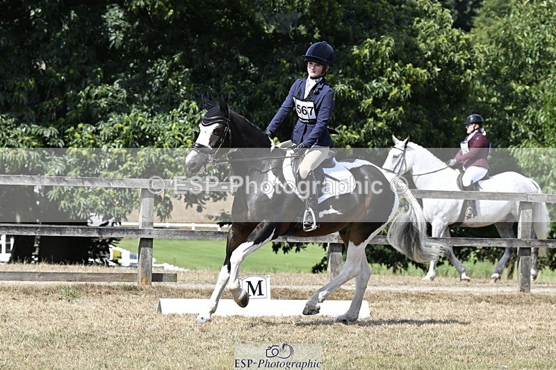 250822A-122058-22716 - DR 11.00 to 12.00