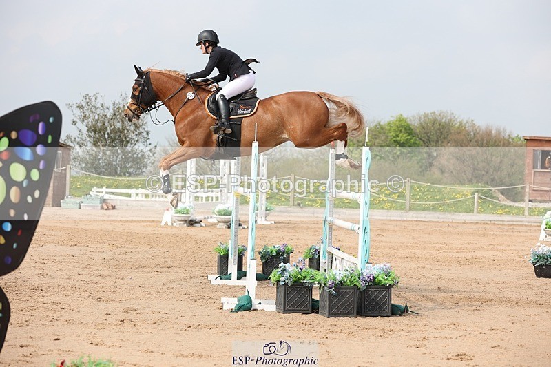 250424-110413-03372 - Cls 33 Young Horse 7yr old