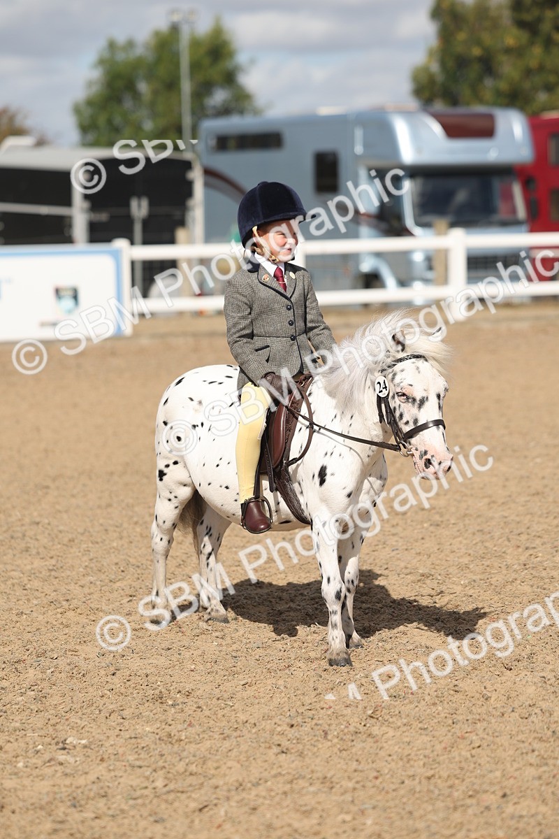 SBM_23158 - Class 806 - Young Rider 10ry and Under