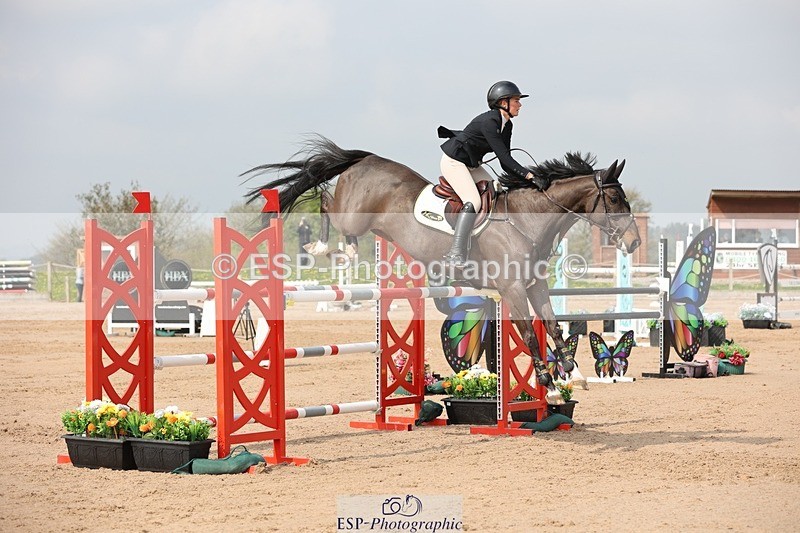 250424-105631-03308 - Cls 33 Young Horse 7yr old