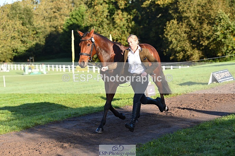 231022-091858-21694 - 650-NAOMIE.VAN.DE.BROUWERSHOEVE-Lara.Salter-TrotUp+SJ