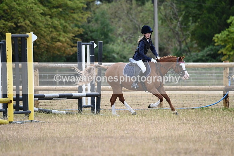 WJ6_0324 - Class 13 Novice Jumping 60cm