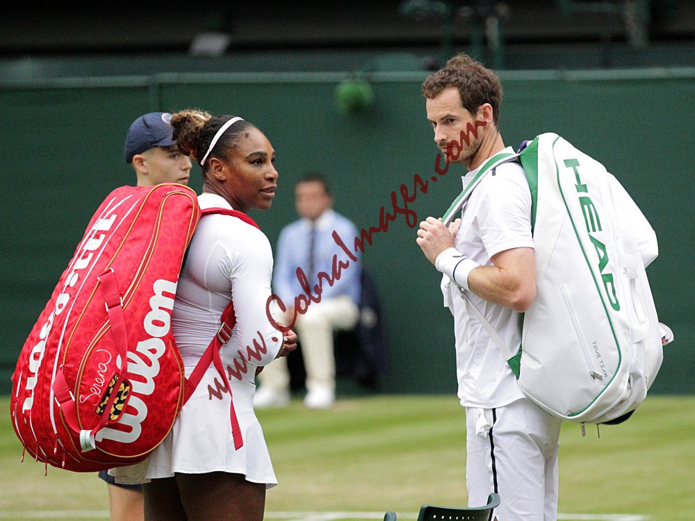 AF0I0183 - Wimbledon