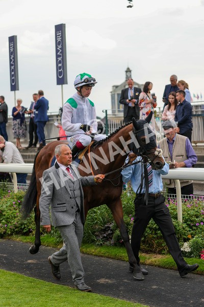 yr20082021r5-6 - Race 5 4.10pm British Stallion Studs EBF Convivial Maiden Stakes (Plus 10 Race)
